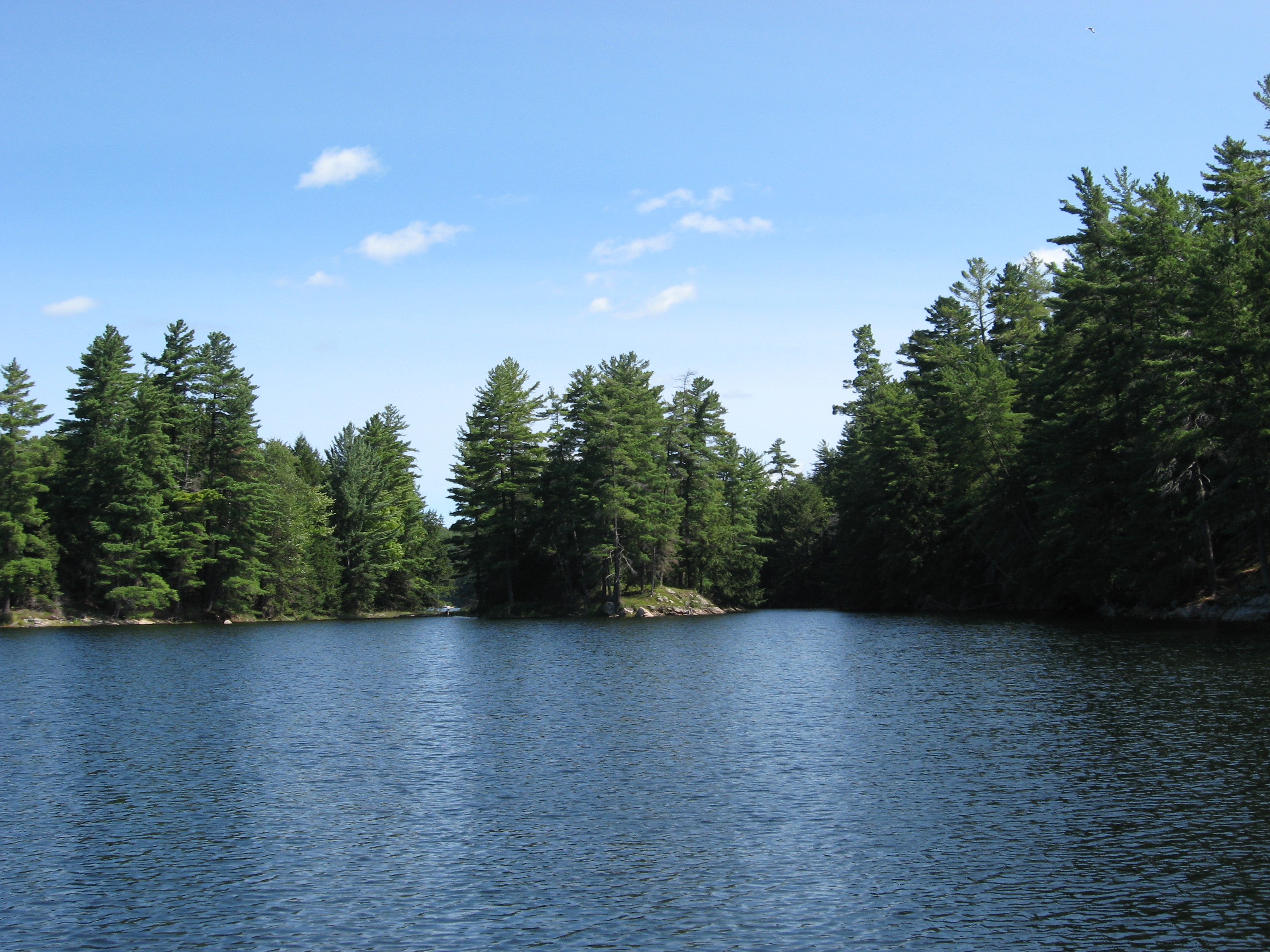 Shoreline Restoration Workshops