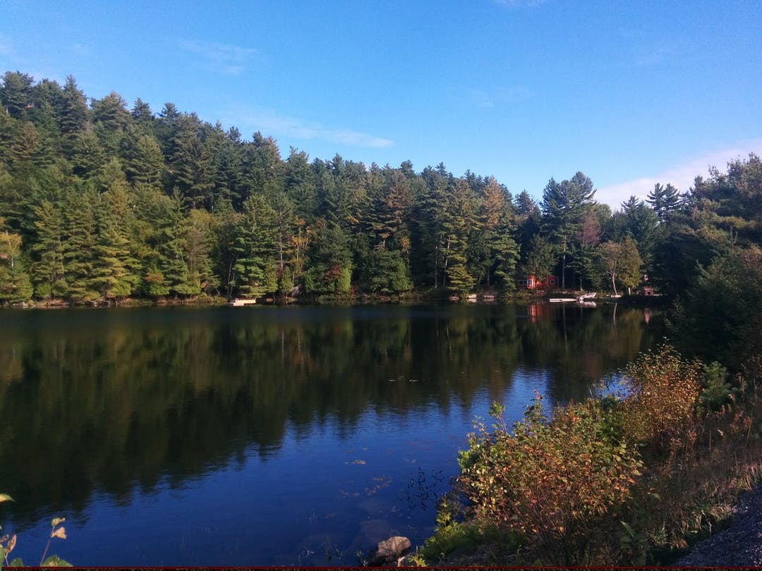 County of Haliburton Seeking Public input on creation of Shoreline Protection By-Law