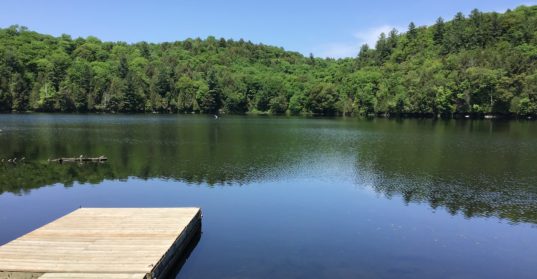Draft Shoreline Preservation Bylaw Update #1 #2 #3 #4